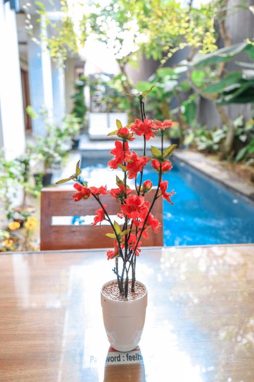 a potted plant sitting on a table next to a pool at Alia Home in Sanur