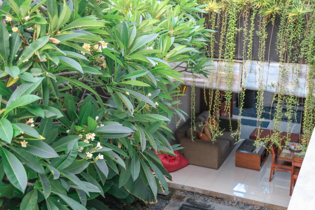 a group of plants in a room with a swing at Alia Home in Sanur