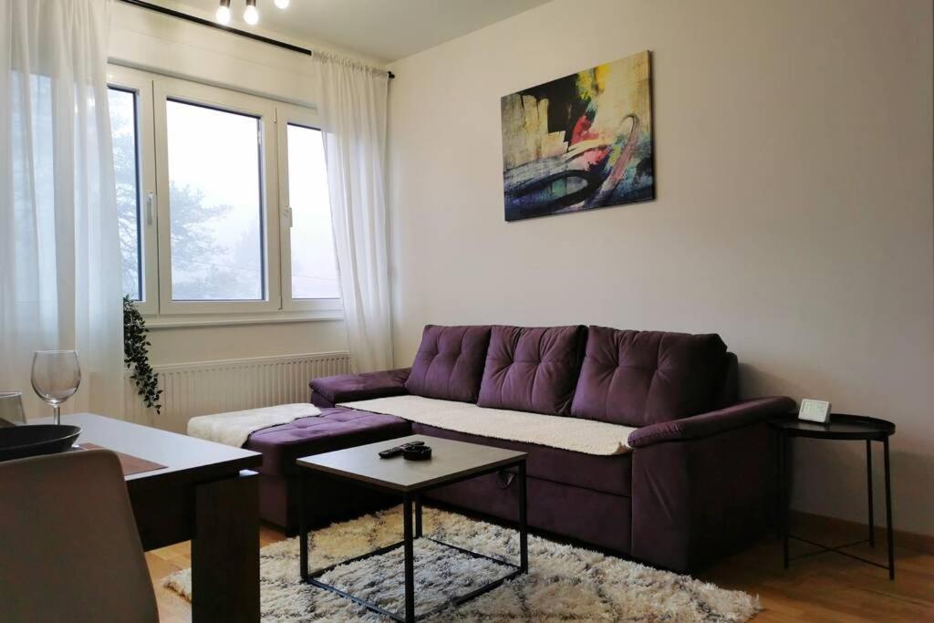 Predel za sedenje v nastanitvi Apartman Winter Magic Divcibare