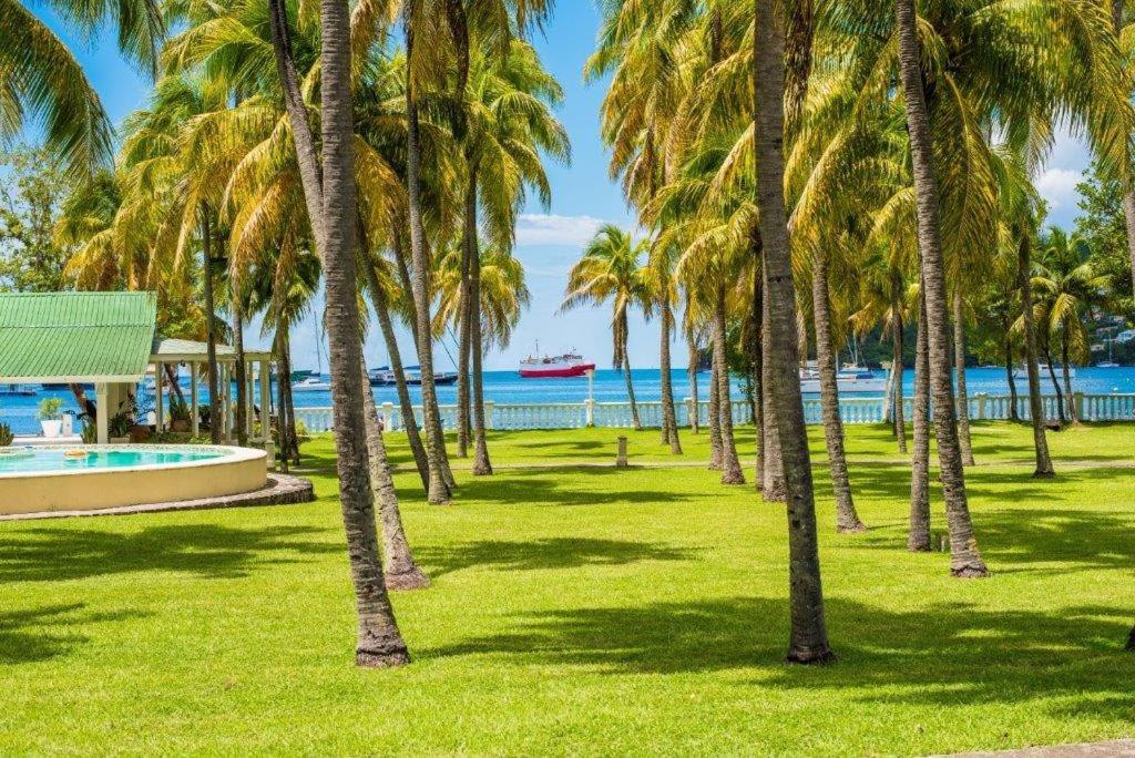 a row of palm trees in a park next to the ocean at Bequia Plantation Hotel in Bequia