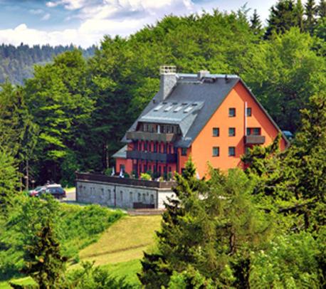 ein Orangenhaus auf einem Hügel mit Bäumen in der Unterkunft Hubertusbaude in Waltersdorf