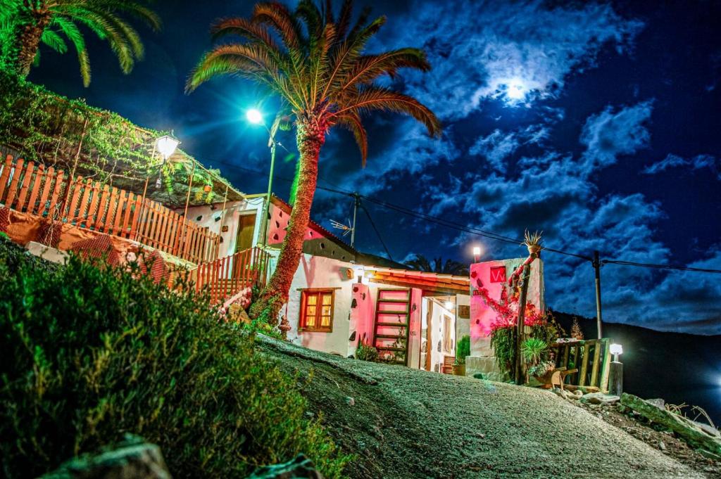 una casa su una collina con una palma di Casa Elea a San Bartolomé