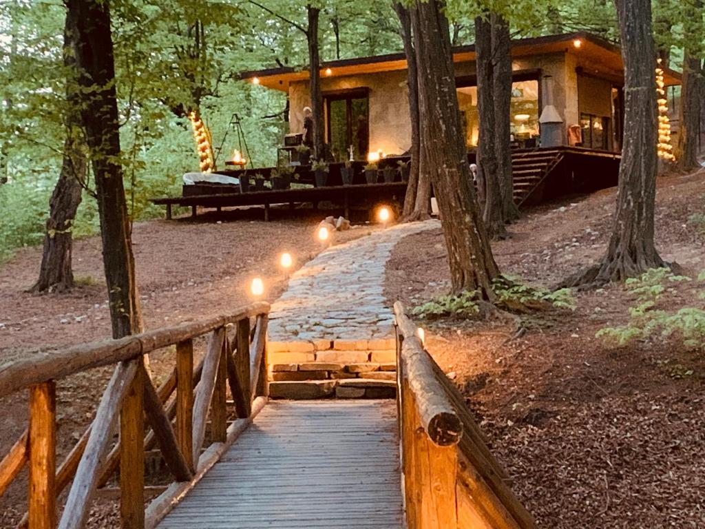 dom w lesie z drewnianym chodnikiem prowadzącym do niego w obiekcie Luxury Lake House & Glamping w mieście Teşila
