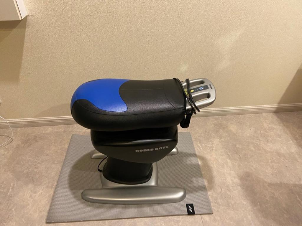 a blue and black hair dryer sitting on a mat at RESORT HOTEL Ka (Adult Only) in Chosei