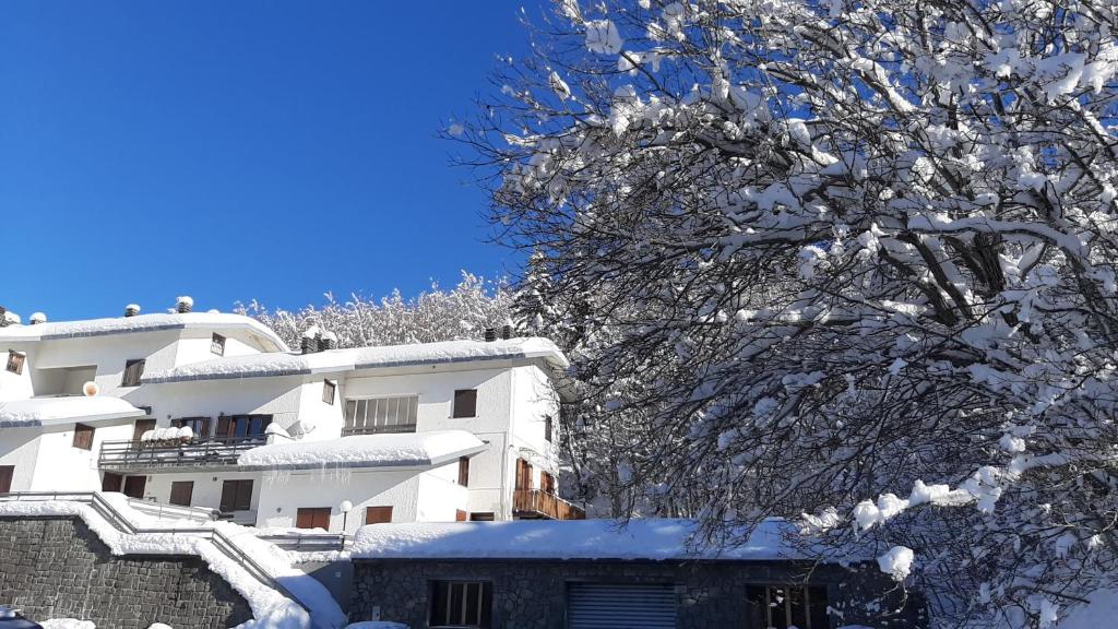 un árbol cubierto de nieve frente a un edificio en Casetta all'Abetone Jacopo e Sabrina, en Abetone