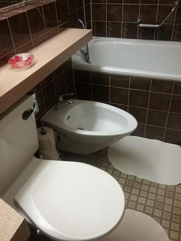 Koupelna v ubytování Disentiserhof Mila