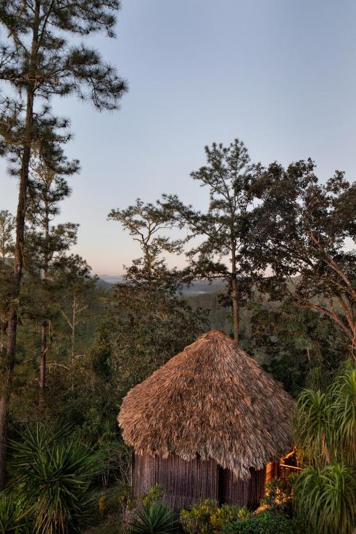 a hut with a thatched roof in a forest at Gaia Riverlodge in San Ignacio