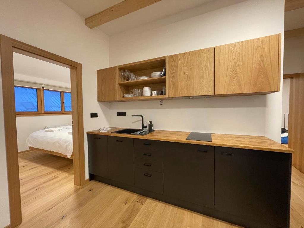 Kuchyň nebo kuchyňský kout v ubytování Apartmány Hacienda Boží Dar