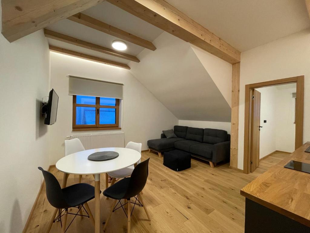 TV a/nebo společenská místnost v ubytování Apartmány Hacienda Boží Dar