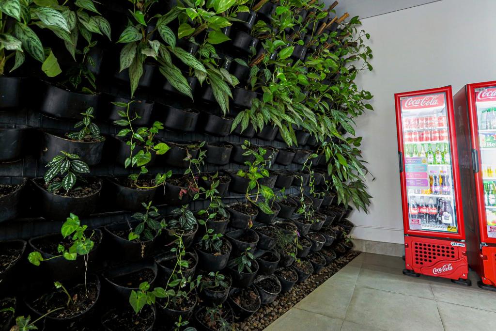  Moderno Studio Vila Mada