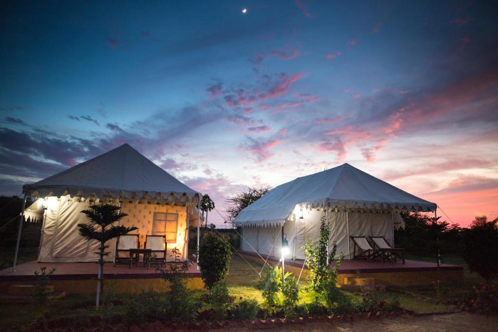 Zahrada ubytování Pushkar Adventure Desert Camp