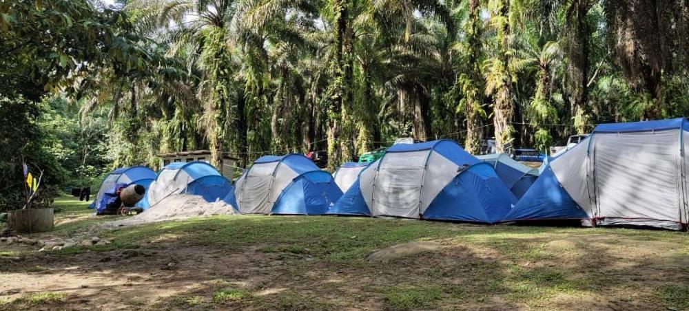 a group of blue and silver tents in a field at Gopeng Campsite in Gopeng