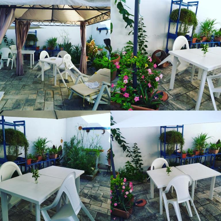 Zahrada ubytování A casa di Gio