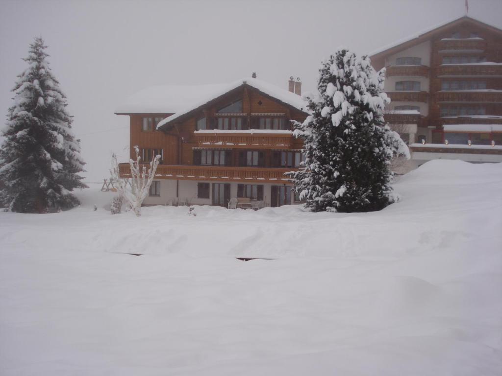 Chalet Petunia v zime