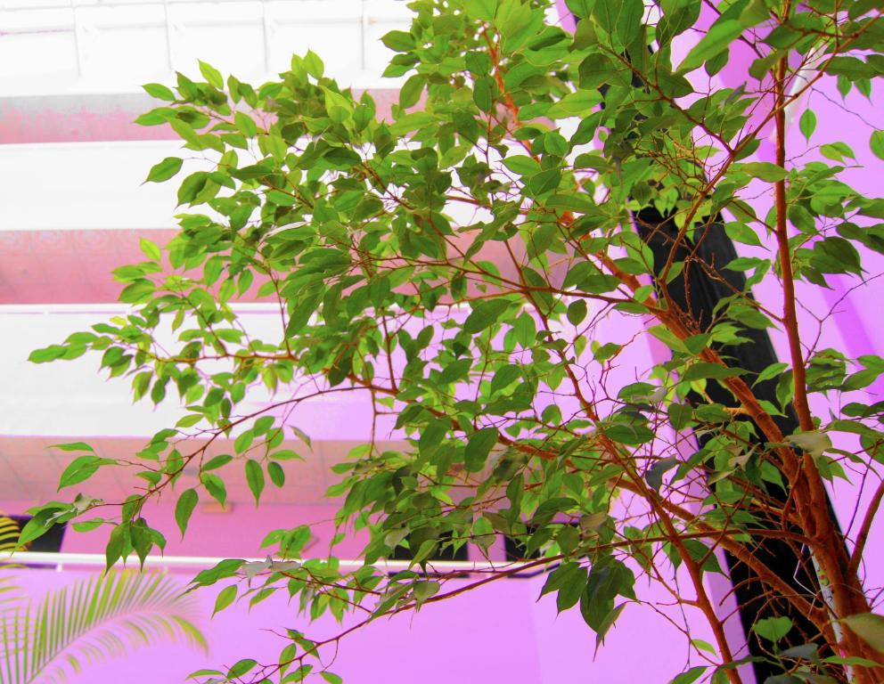 Regal Peninsula Hotel Formerly New Peninsula Hotel Ghubaiba Bus Station Bur Dubai - Resim 25