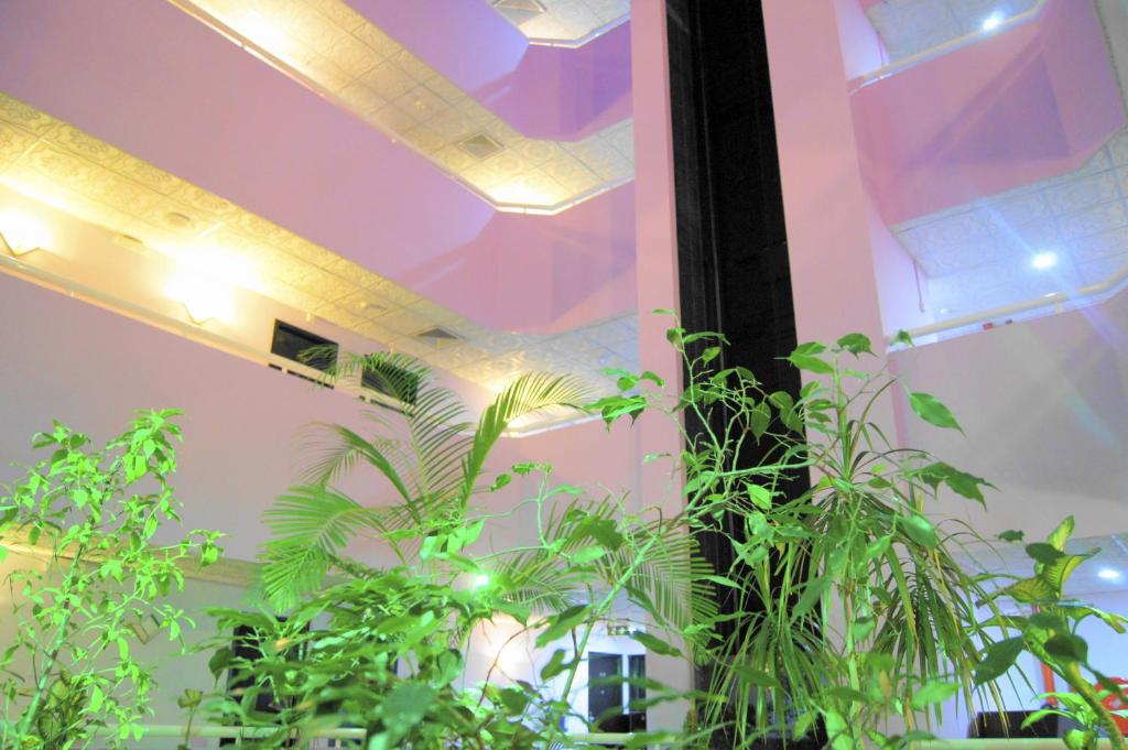 Regal Peninsula Hotel Formerly New Peninsula Hotel Ghubaiba Bus Station Bur Dubai - Resim 23