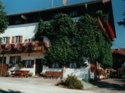 a building with a tree and a bench in front of it at Mayerhof in Pittenhart