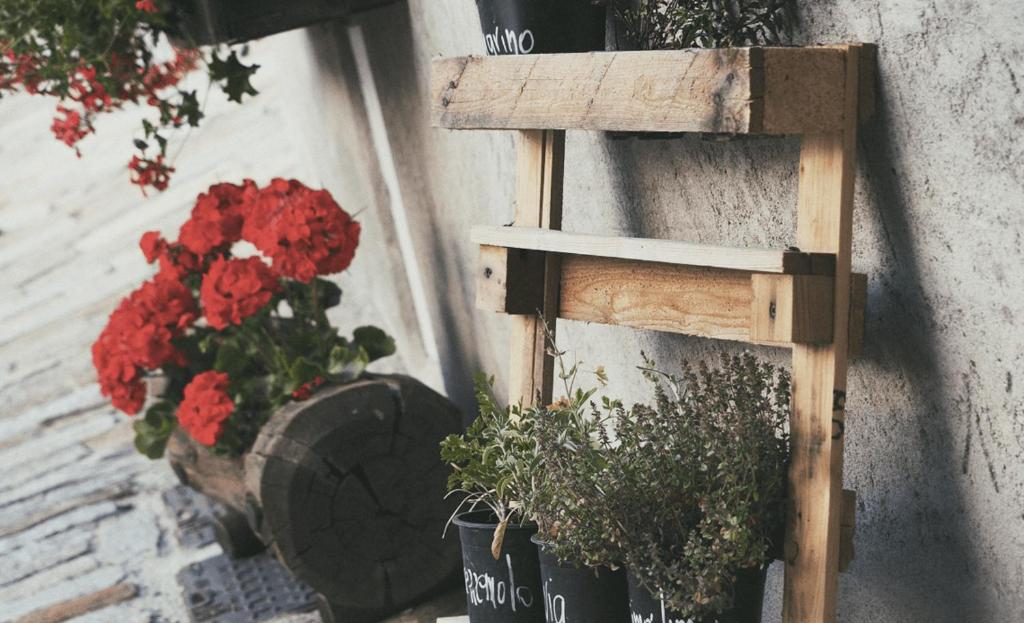 Zdjęcie z galerii obiektu Locanda Allevè Hotel Ristorante w mieście Pragelato