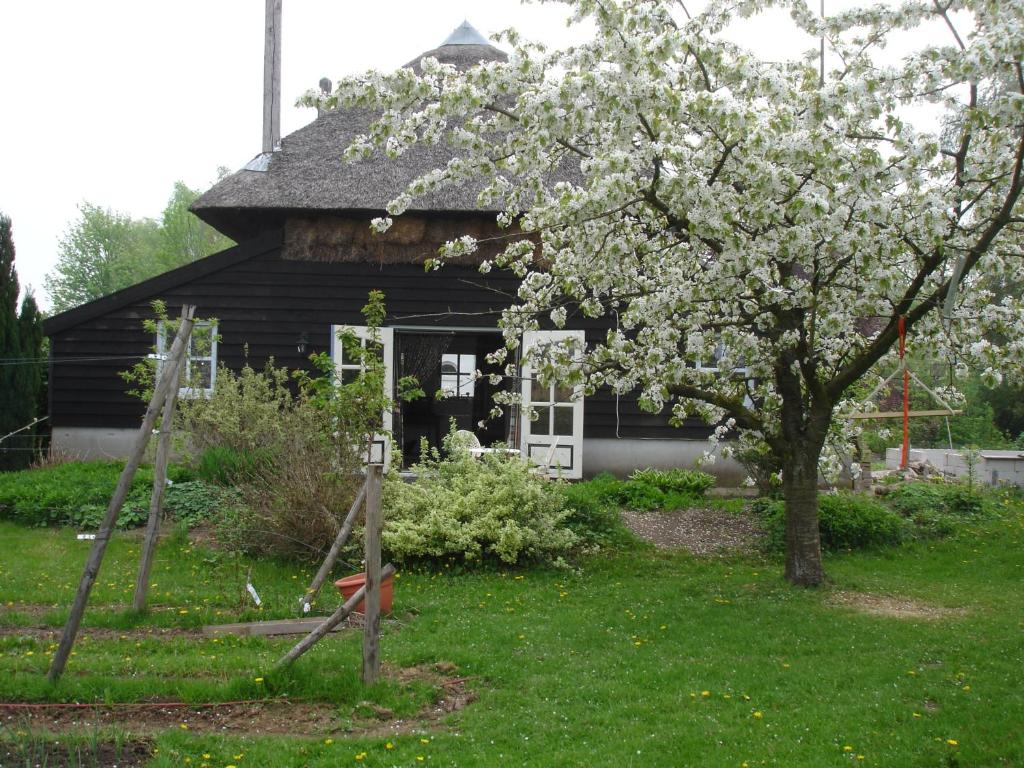 a flowering tree in front of a house at Cornucopia Cottage in Ingen