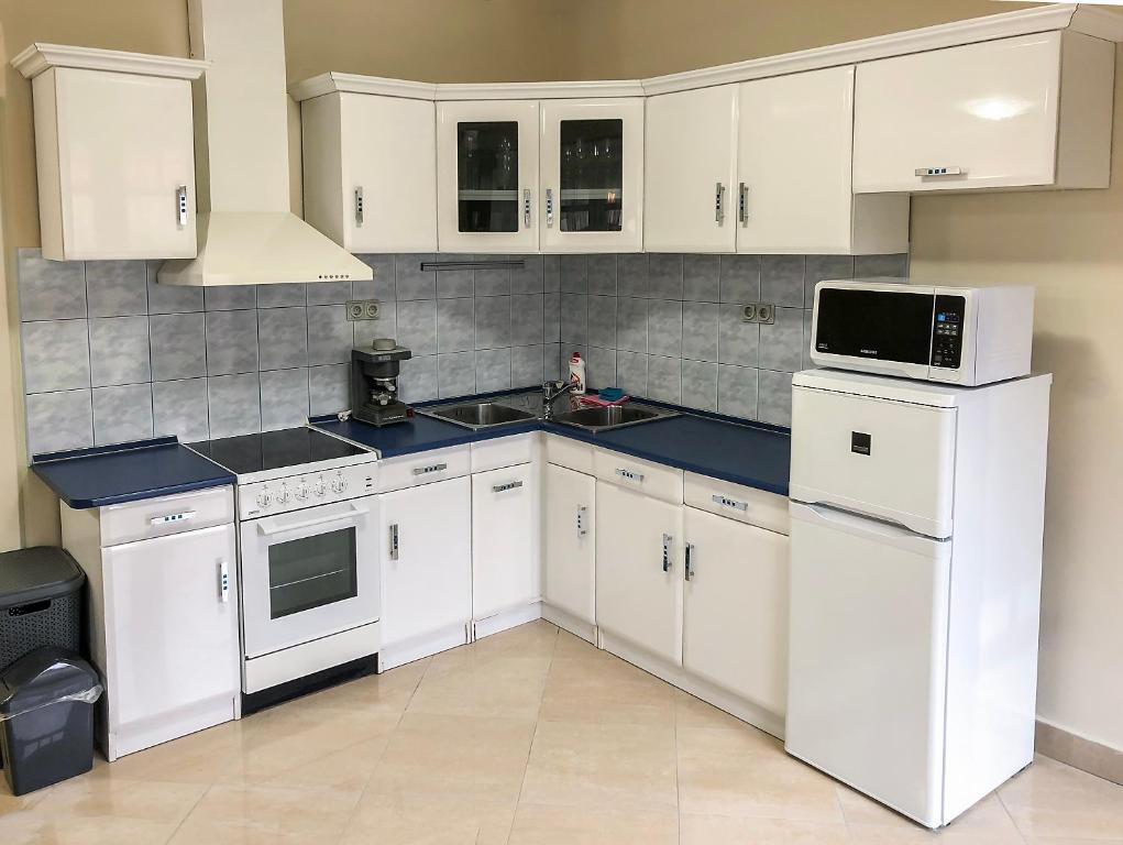 Kuchyňa alebo kuchynka v ubytovaní Vino Apartman