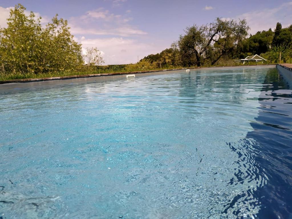 a pool of blue water with trees in the background at Poderi in Chianti in Tavarnelle in Val di Pesa