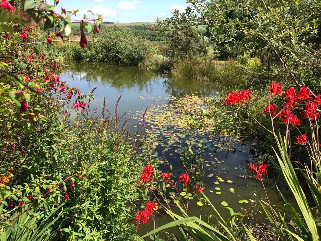 Wild Atlantic Way Idyllic Cottage