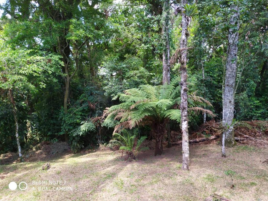 Casa do Itibere  Casa do Itibere