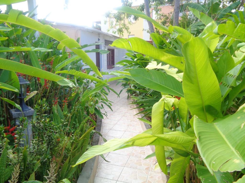 Jardín al aire libre en Appartement de 3 chambres avec jardin clos et wifi a Port Louis a 3 km de la plage