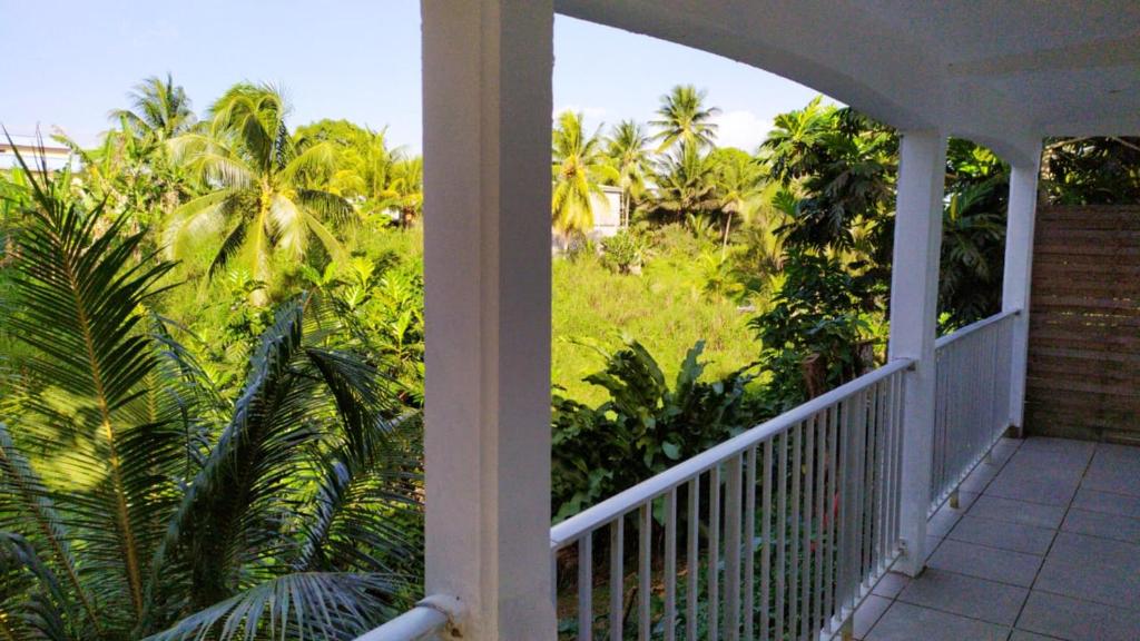a balcony with a view of palm trees and grass at Maison de charme à Sainte-Rose avec piscine partagée in Sainte-Rose