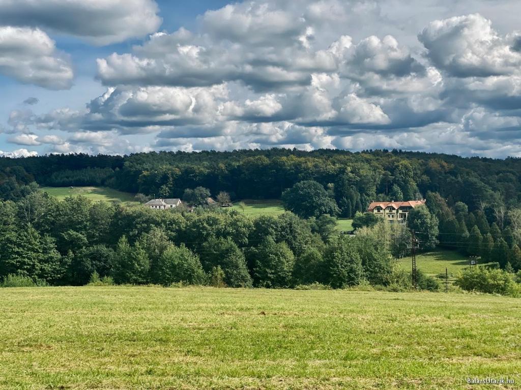 ein Feld mit einem Haus mitten im Wald in der Unterkunft Apát Panzió és Étterem in Apátistvánfalva