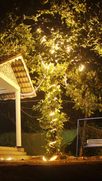a tree with lights on it next to a bench at Wayanad Days in Mananthavady