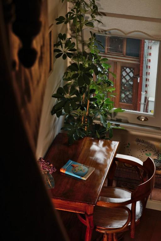 Tilas - Rooms in 19th Century Wooden Townhouse,Kadikoy - 8