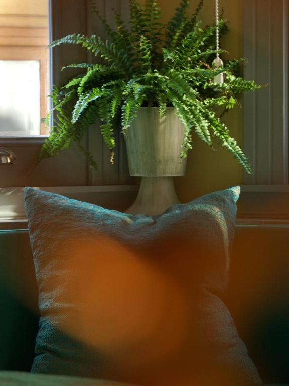 Tilas - Rooms in 19th Century Wooden Townhouse,Kadikoy - 6