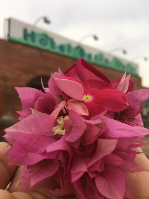  Hotel Serra Geral