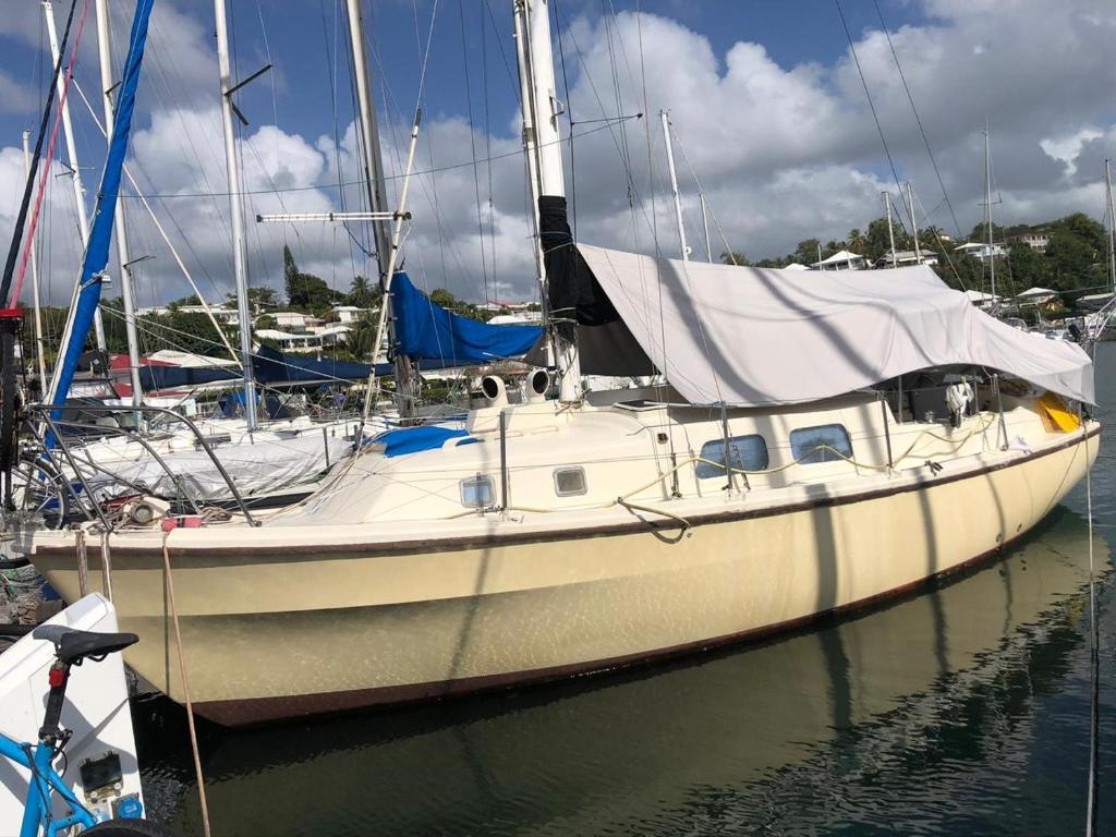 un voilier est amarré dans un port de plaisance dans l'établissement Séjour à bord d'un voilier type studio, à Pointe-à-Pitre