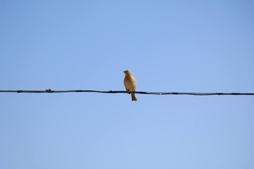  Pousada Canto dos Canários