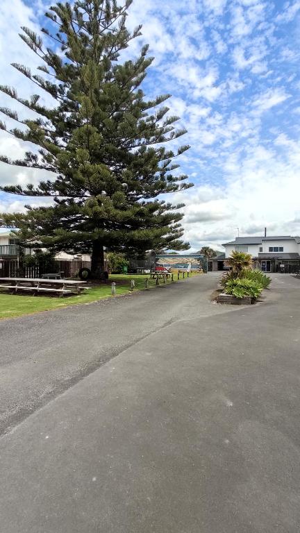 Beaches Motel - Resim 45