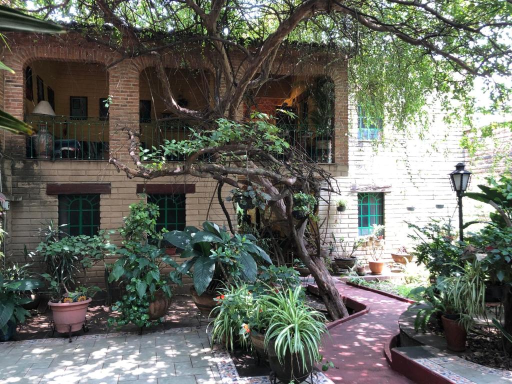 Zahrada ubytování Casa del Retoño