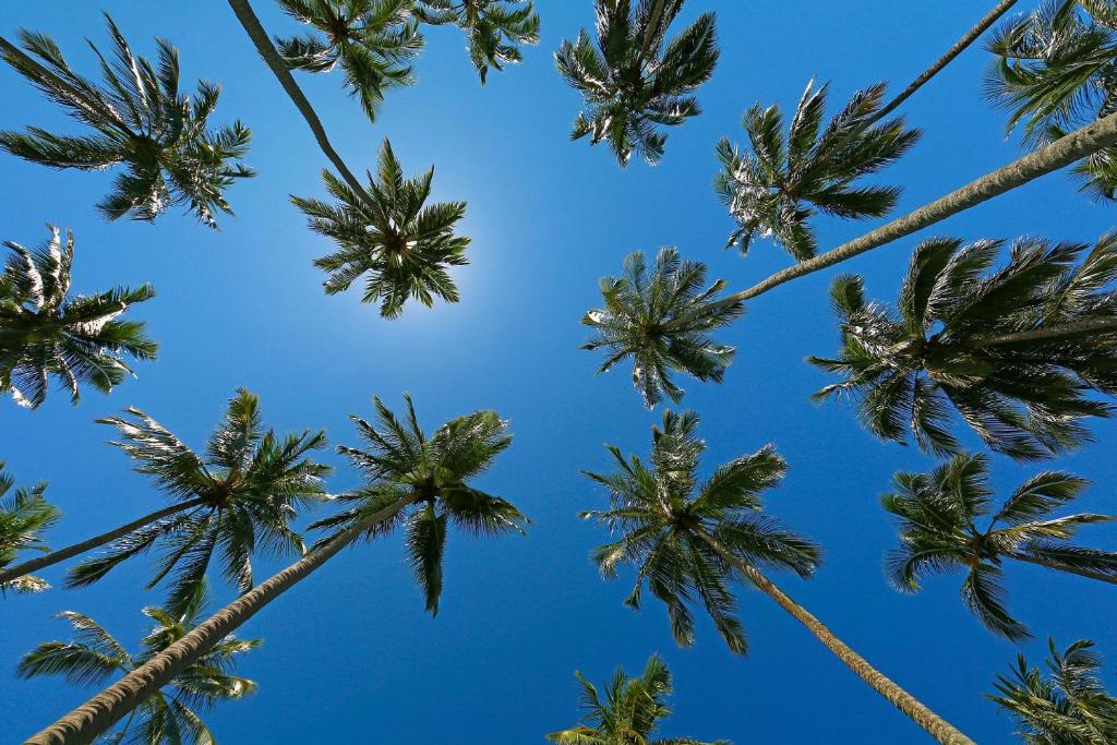 Galeriebild der Unterkunft HY Beach Flats - Fernando Pessoa in Recife