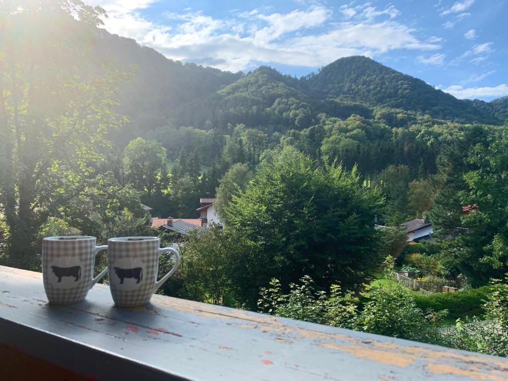 dos tazas de café sentadas en la cima de una cornisa con montañas en Ferienwohnung Das Lissi, en Aschau im Chiemgau