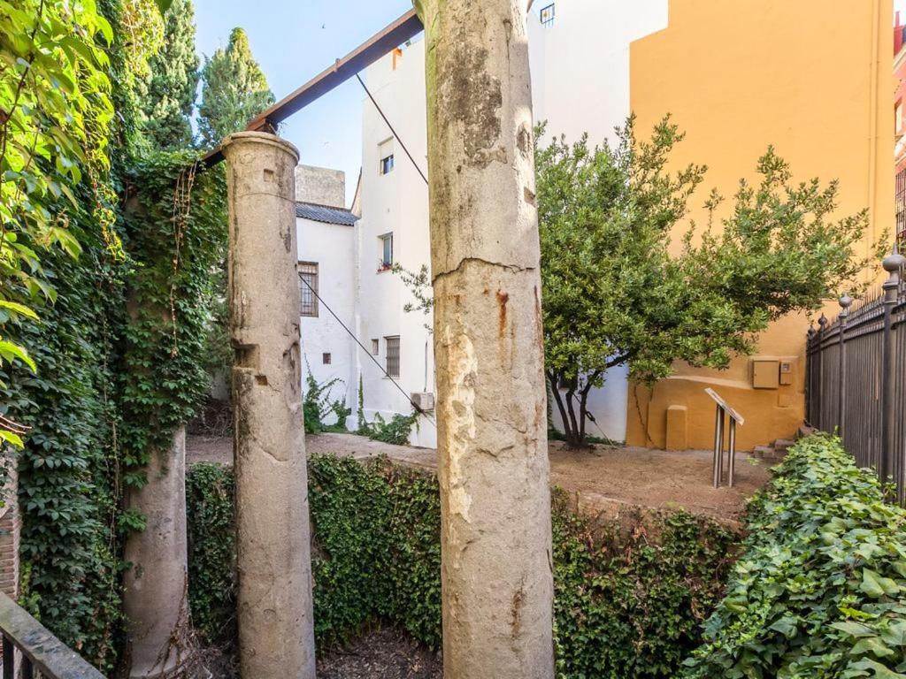 Fotografie z fotogalerie ubytování Comfortable house in the heart of Seville with AC. v destinaci Seville