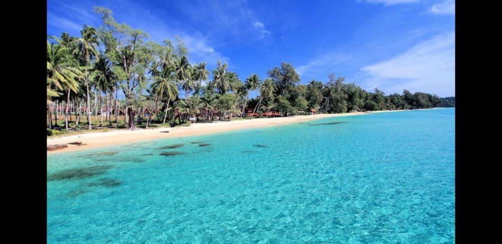 widok na plażę z palmami i ocean w obiekcie Mateoasis w mieście Ko Kut
