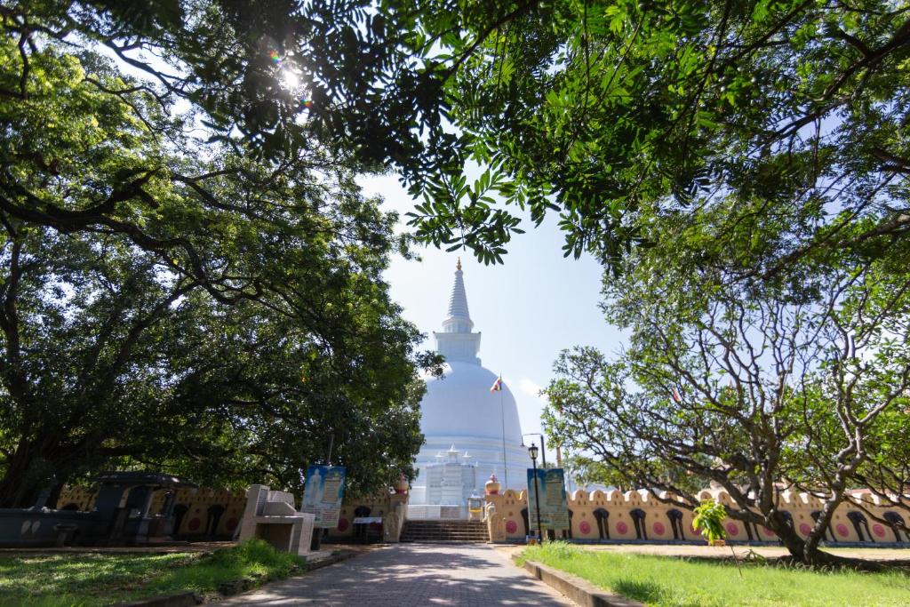 Zahrada ubytování Mapakada Village - Mahiyanganaya