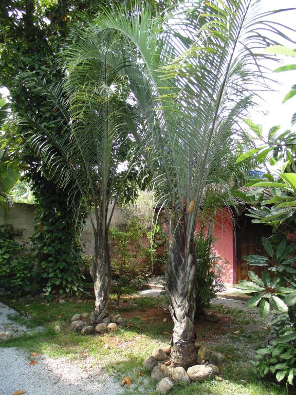  Residencial Dolce Villa