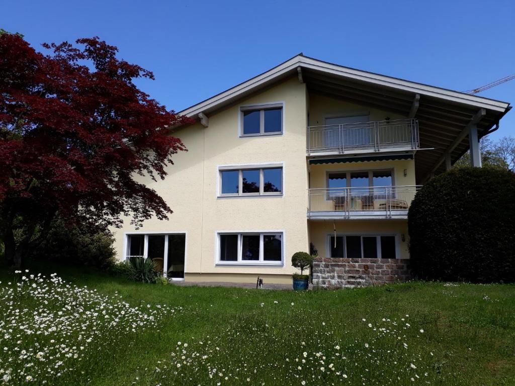 Zahrada ubytování Ferienwohnung Zürcher