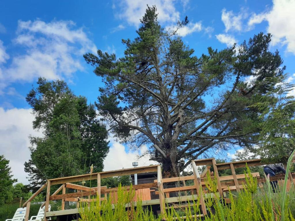 Zahrada ubytování Terra Newen Pucon Family Suites