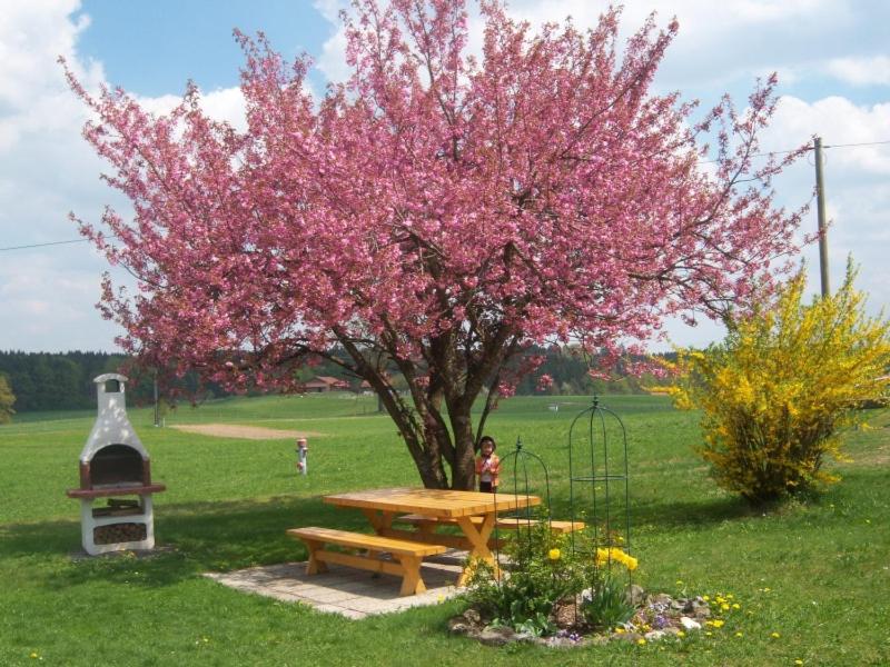 ein Picknicktisch und ein Baum mit rosa Blumen in der Unterkunft Irgenbauer in Chieming