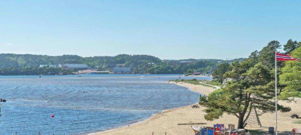 a view of a beach with a flag and the ocean at Hytte med 4 Soverom in Kristiansand