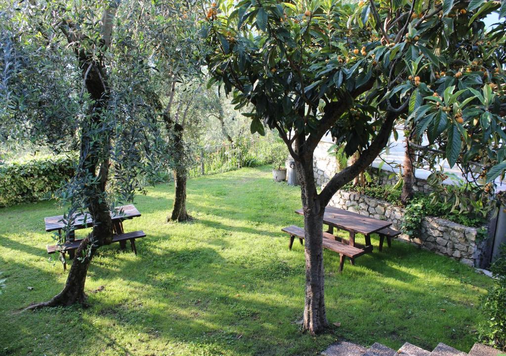 Zahrada ubytování Hotel Mercedes