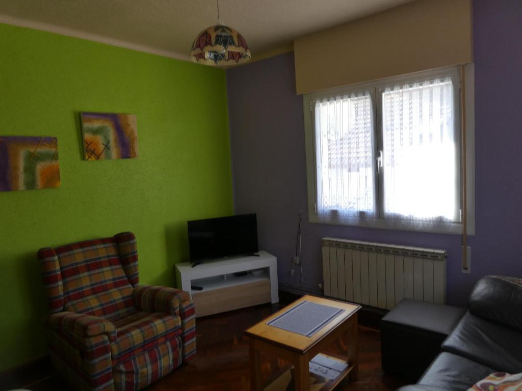 a living room with green walls and a couch and a tv at Apartamento Binies in Isaba